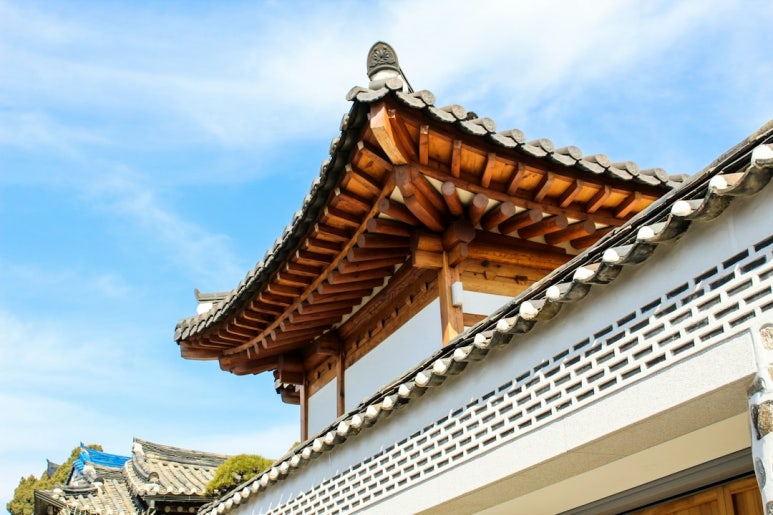 물바우 이미지