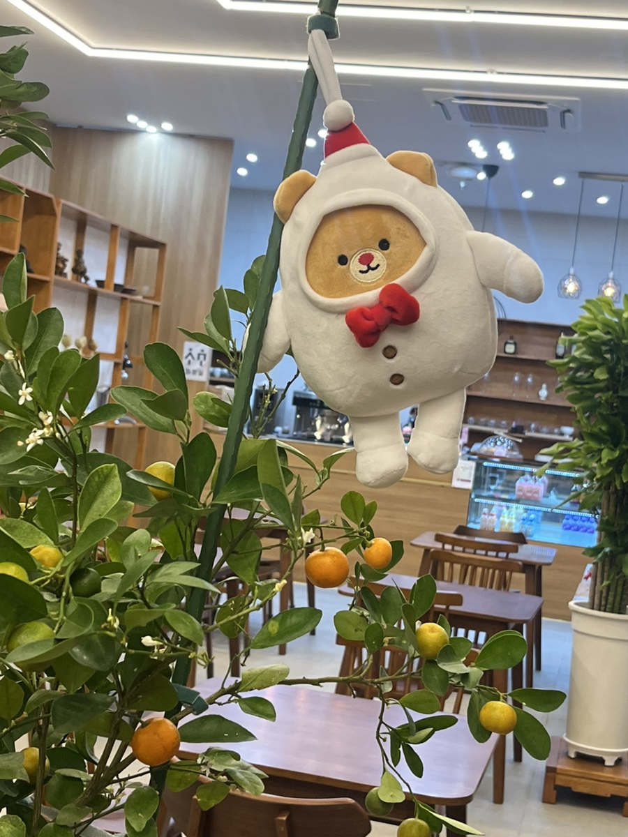 리치에쏘 이미지