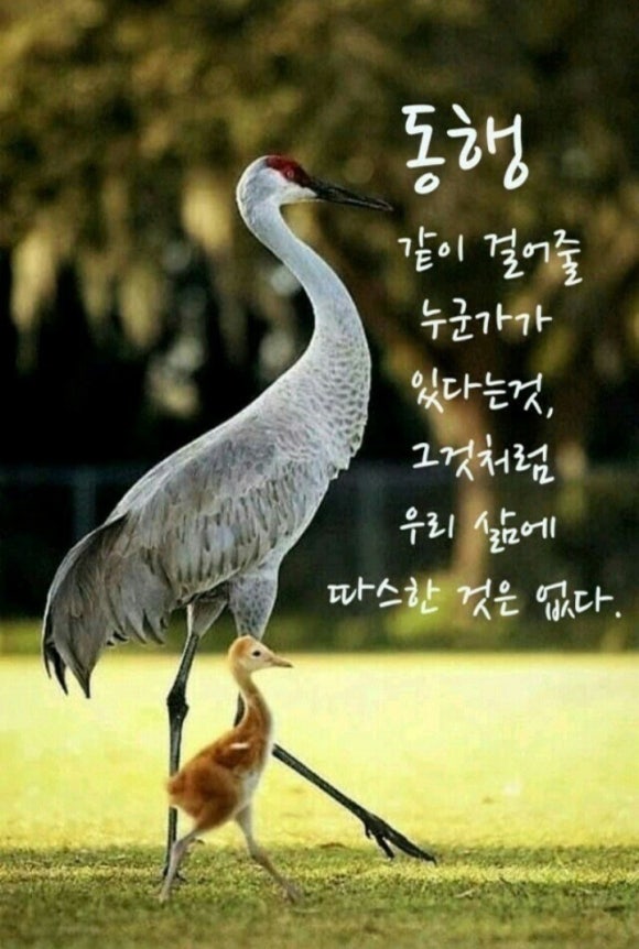 오리한마당 이미지