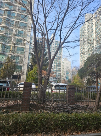 아가페평생교육원 이미지