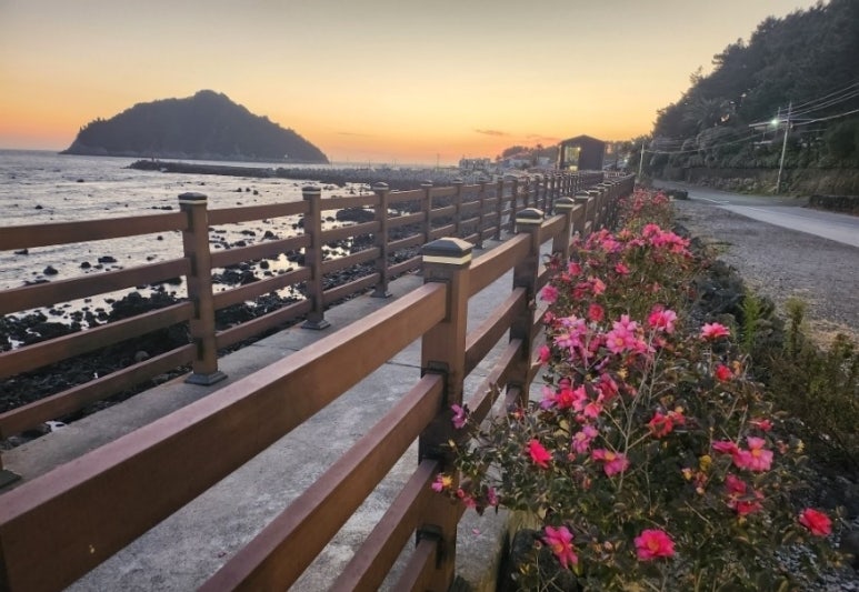 볼레낭게 이미지