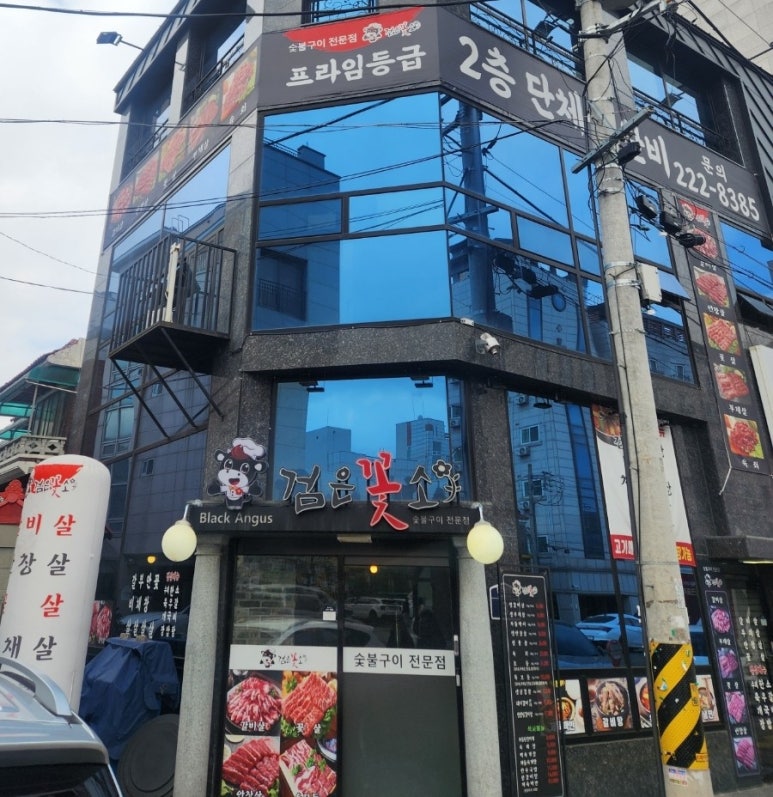 검은꽃소 이미지
