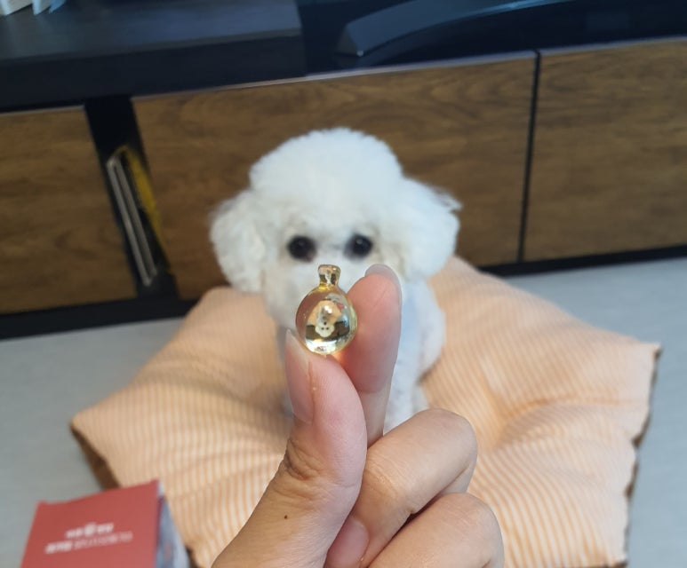 냠냠숯불두마리치킨울산 이미지