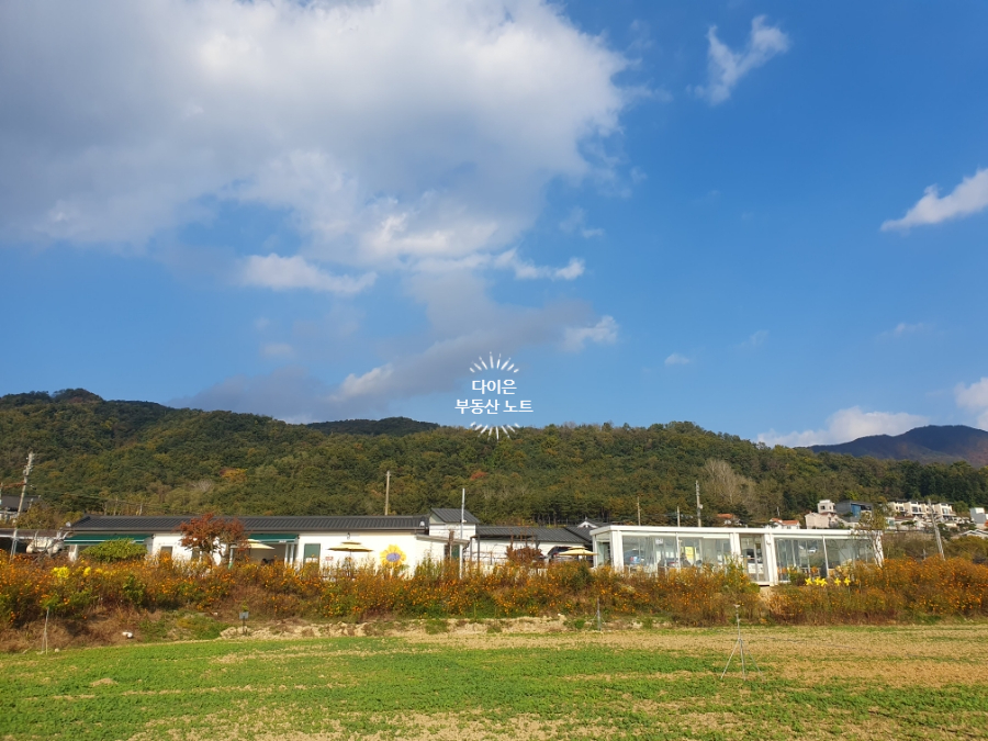 부산무도학원 이미지