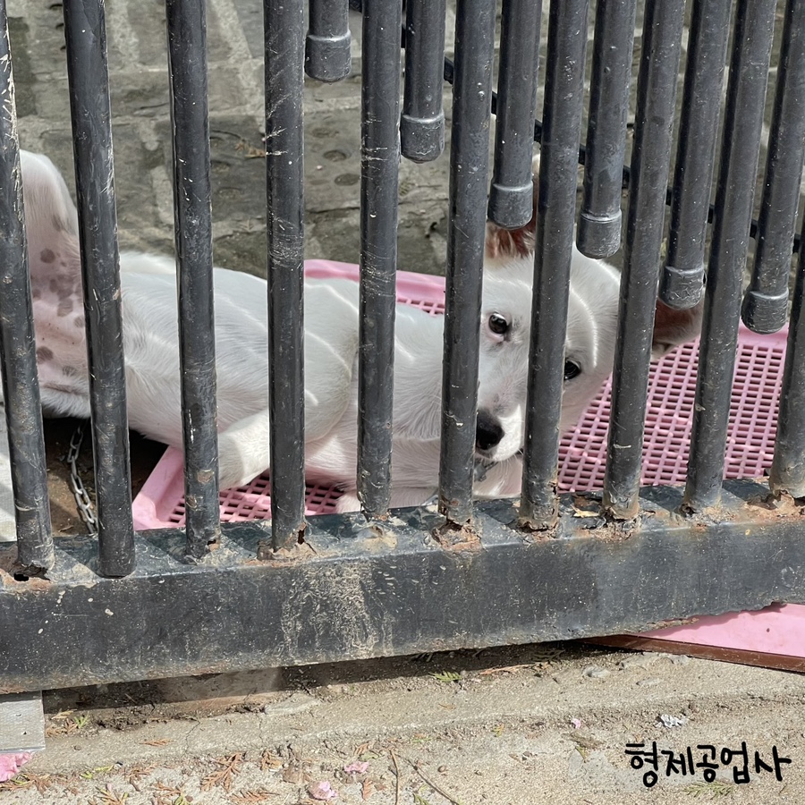 유명공업사 이미지