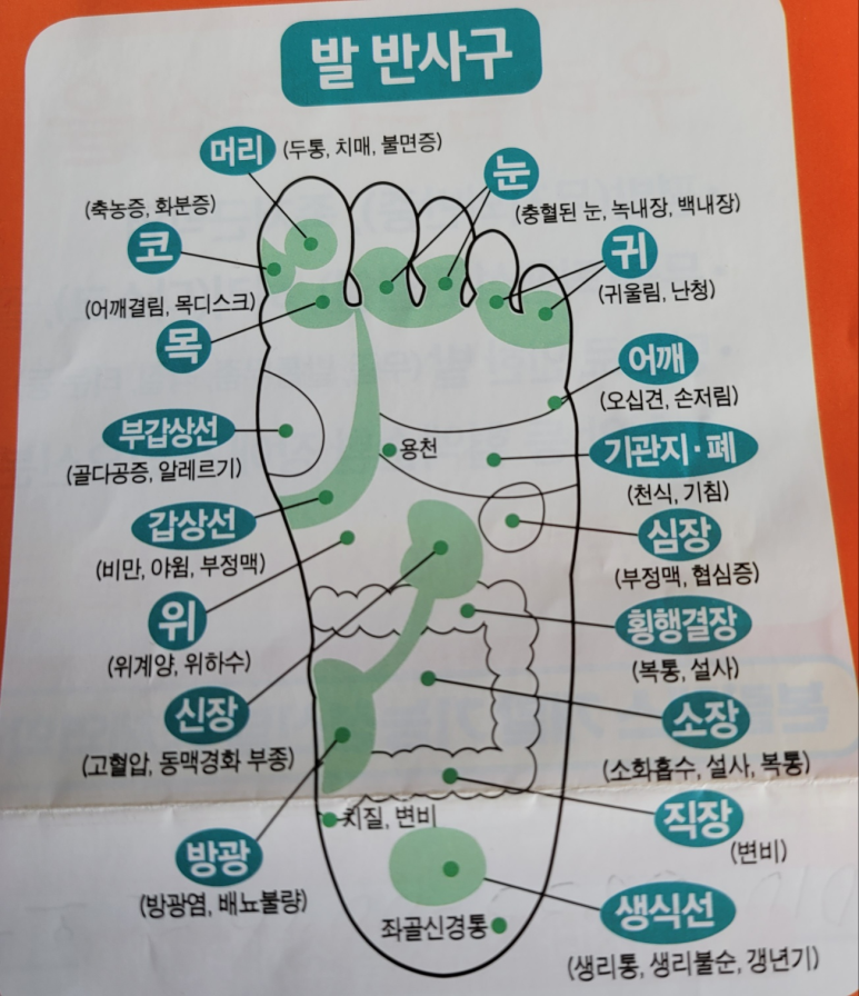 본릴렉스 이미지