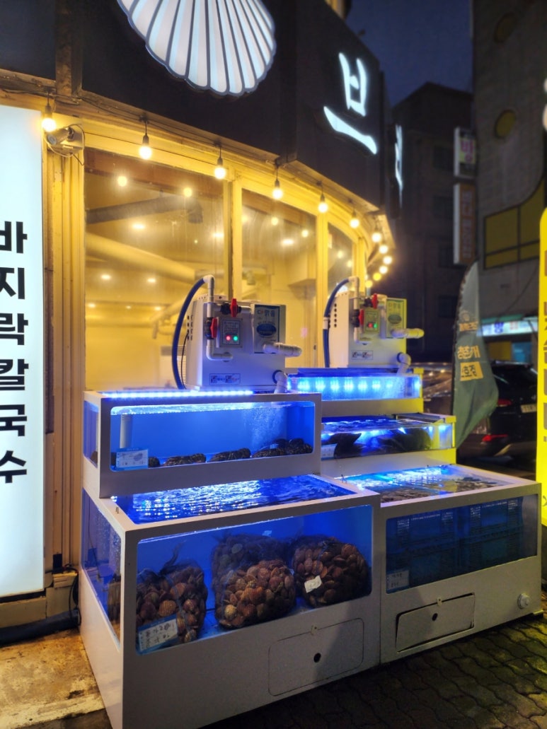 청춘브라더스 이미지
