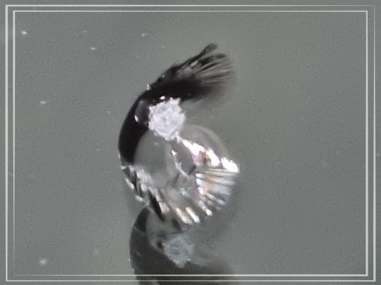 지티글래스 이미지