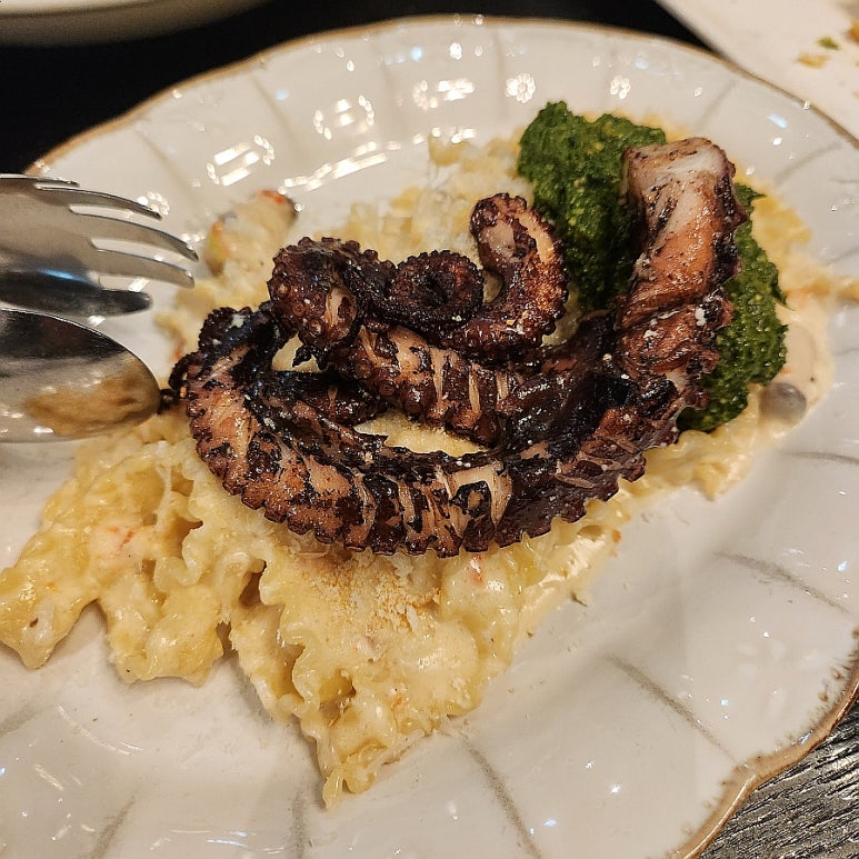 필디마 이미지