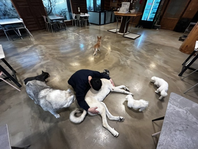 환이조아 이미지