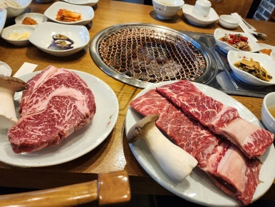 즐거운하누 이미지