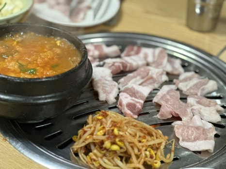 까치노래짱 이미지