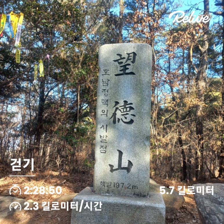 배알도횟집 이미지