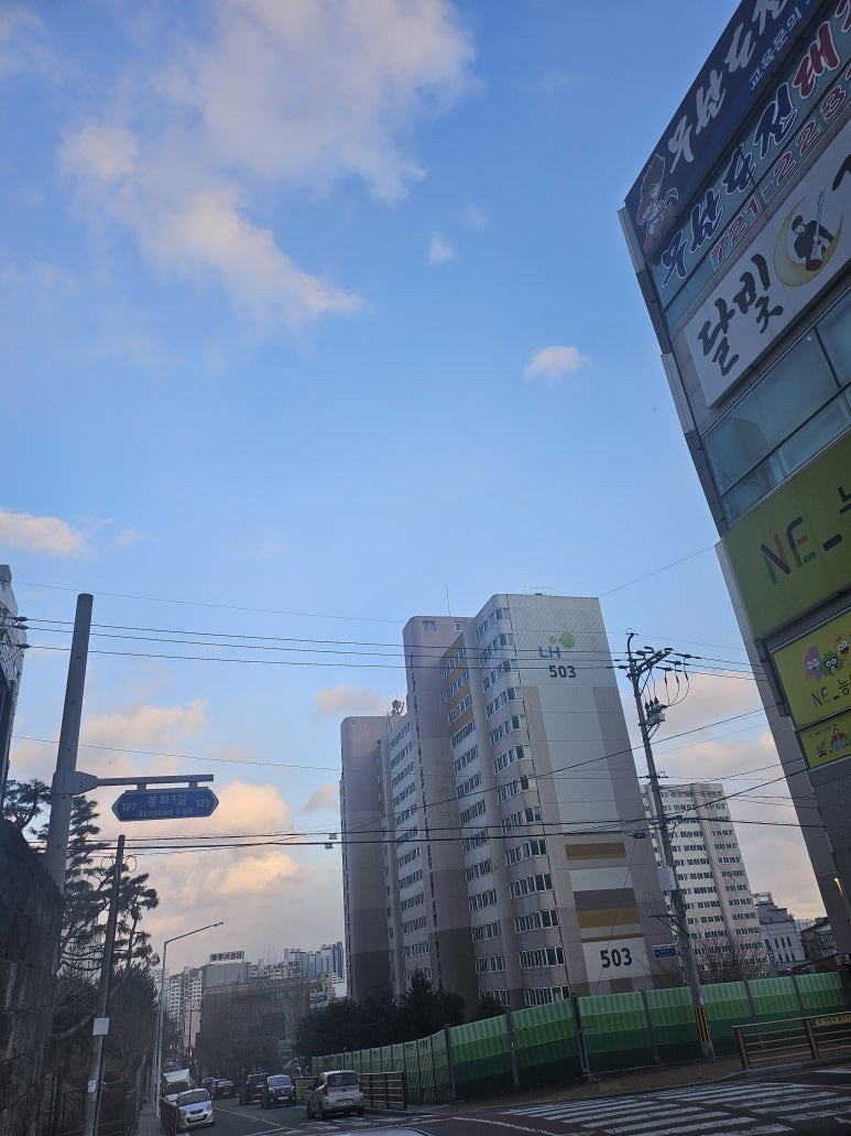요거트월드조례점 이미지