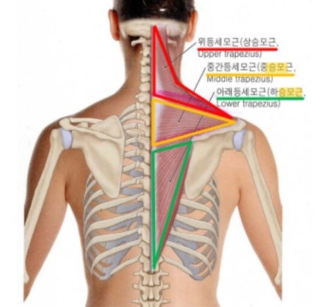 에이앤프리햅 이미지