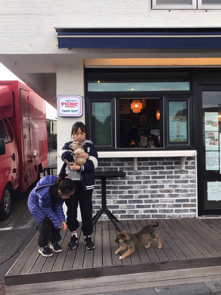 세화피크닉 이미지