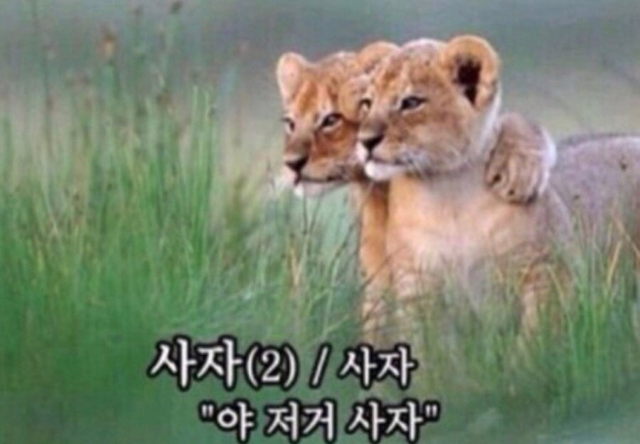 미드나잇피크닉 이미지