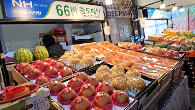 ６６번중매인 이미지