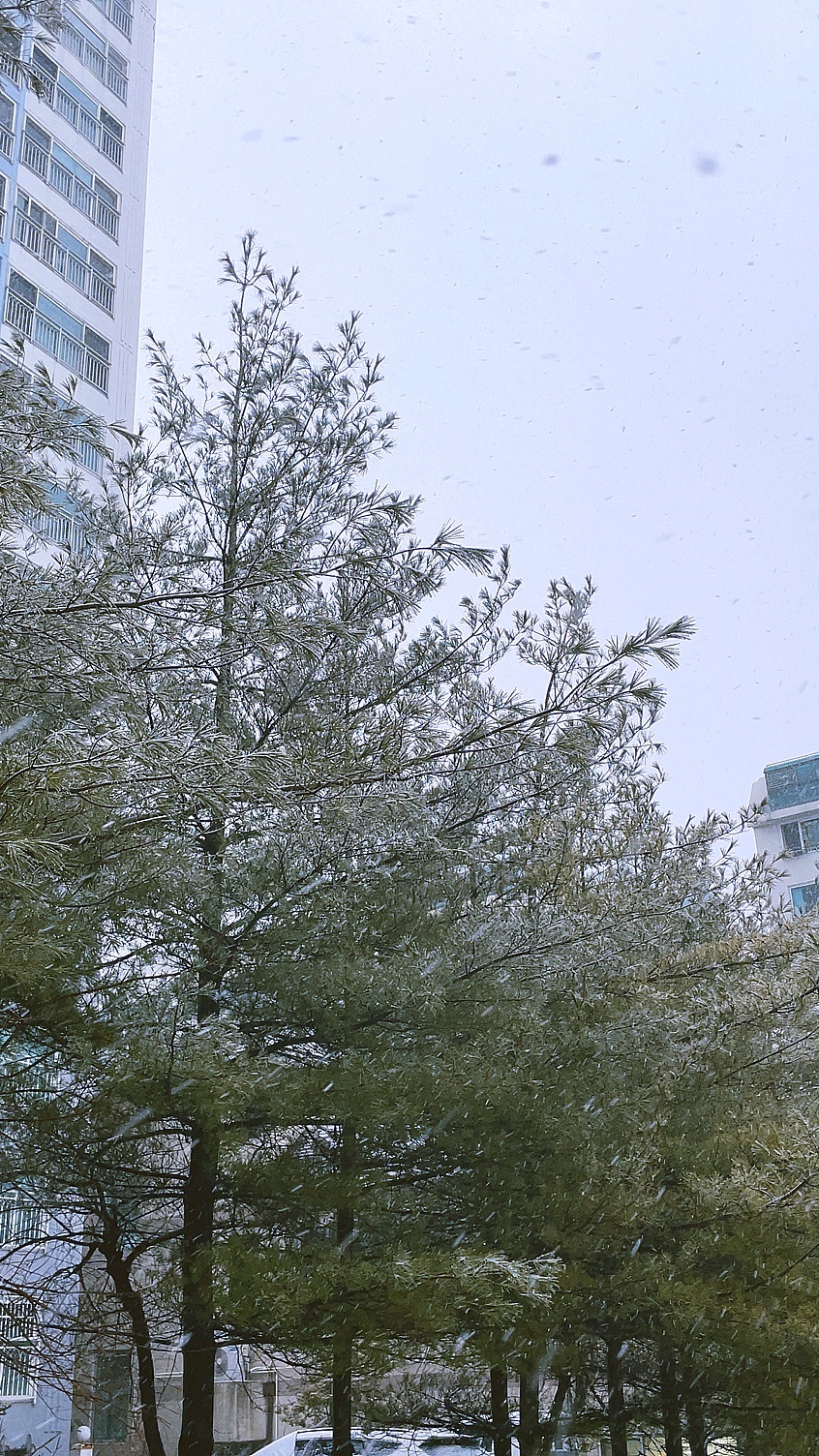 키친오뮤 이미지