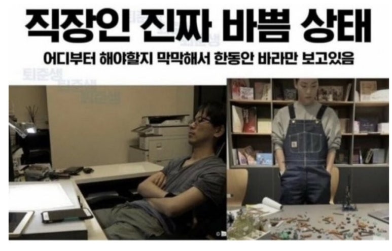 꼬미다 이미지