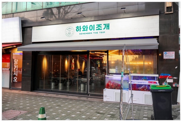 하와이조개 이미지