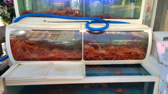 정이수산 이미지