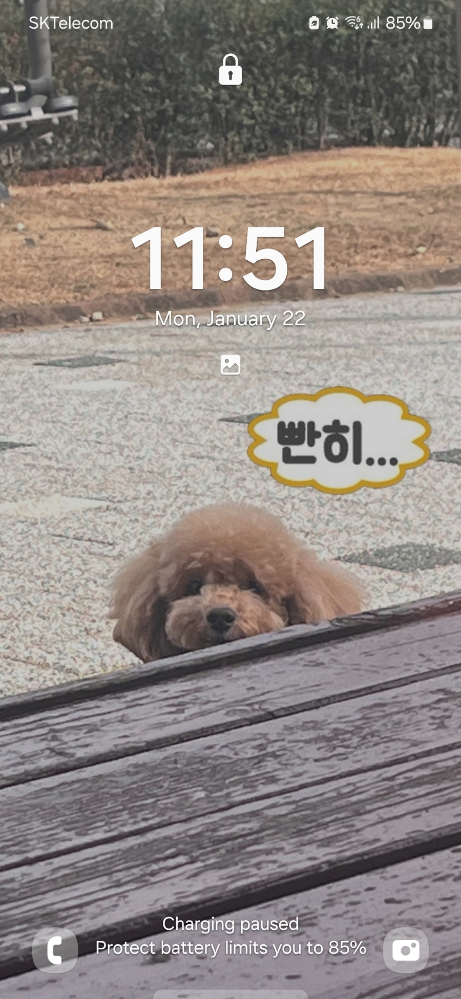 하도방학 이미지