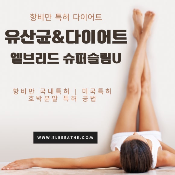 엘브리드 이미지