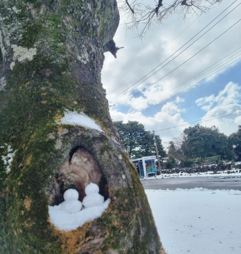 청룡다방 이미지