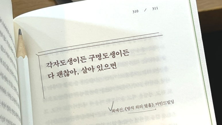 민들레책밭 이미지