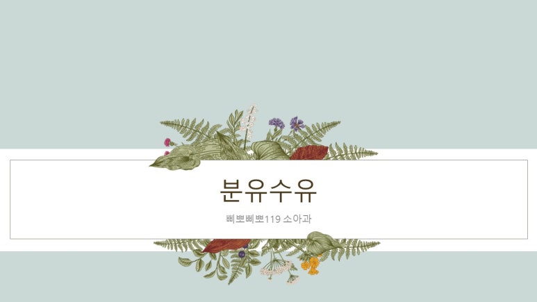 (강동송파)해피케어 이미지