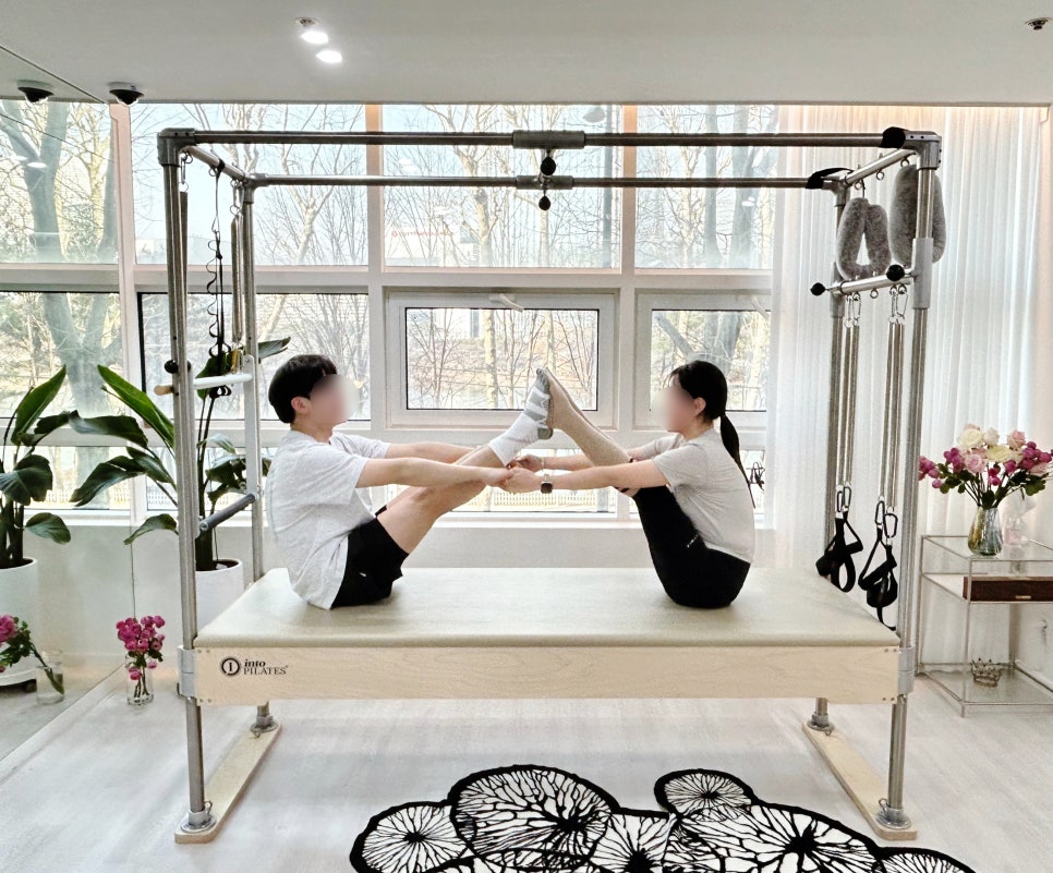 필라디아 이미지