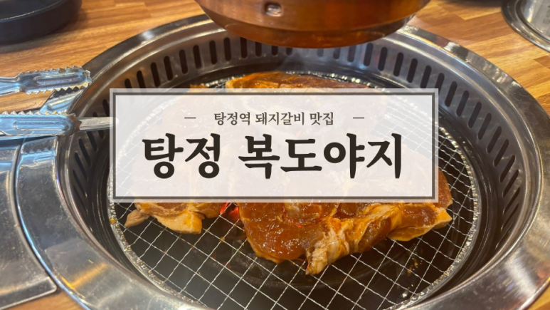 복도야지 이미지