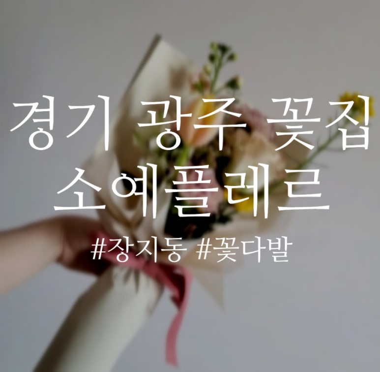 소예플레르 이미지