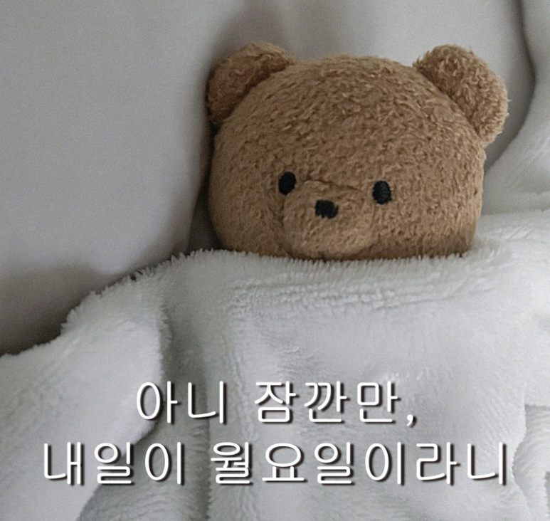 선에스테틱 이미지