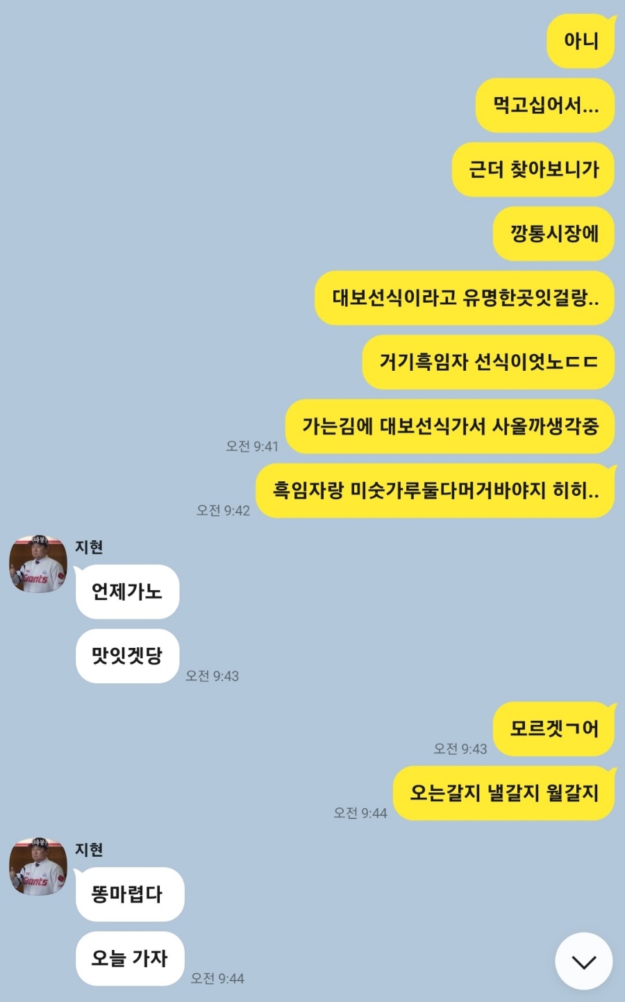 대보선식 이미지