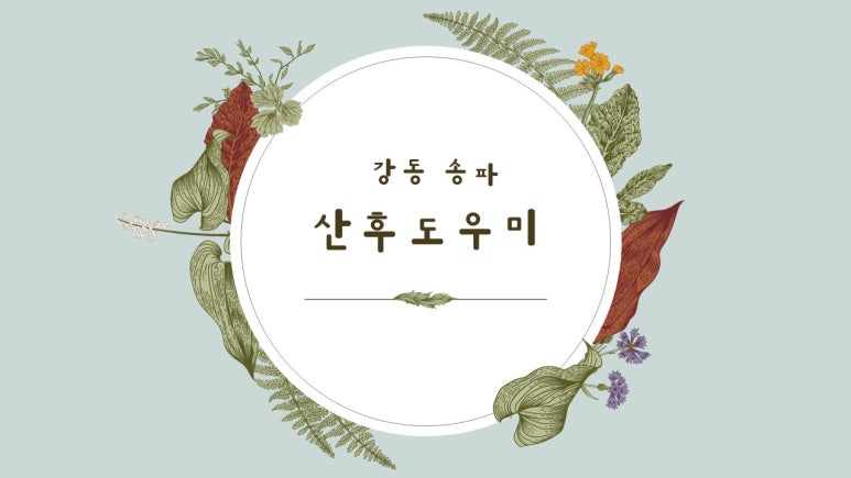 (강동송파)해피케어 이미지