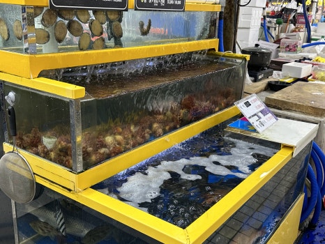훔친물고기오늘바다에서 이미지