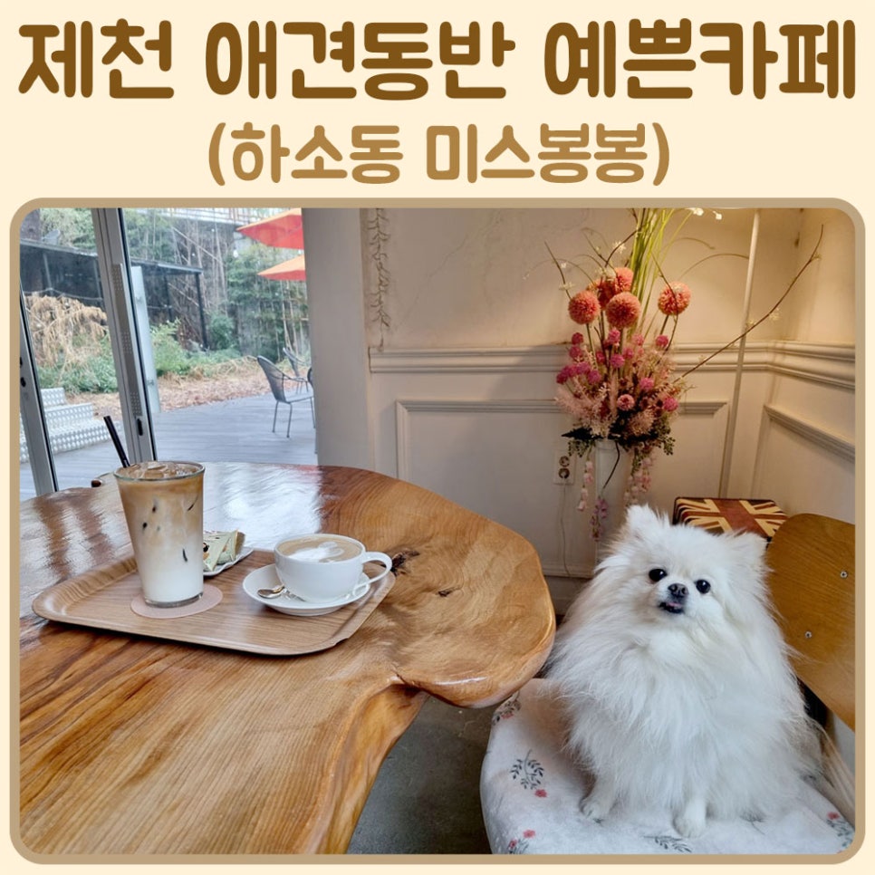 미스봉봉# 이미지