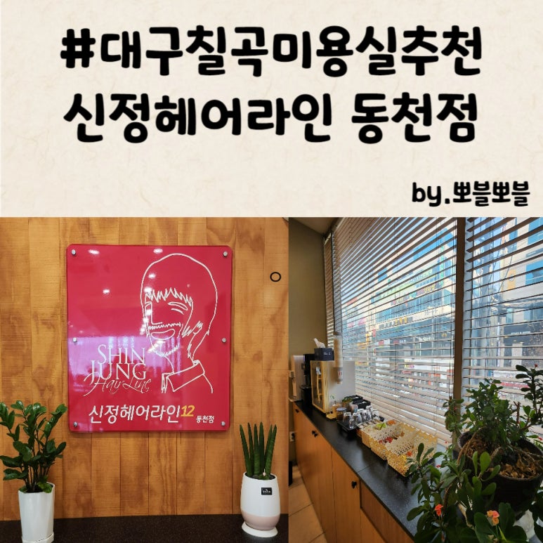 신정헤어라인2 이미지
