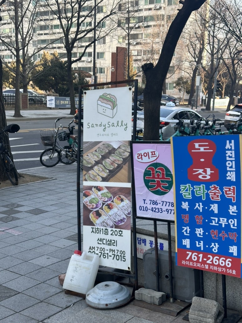 샌디샐리 이미지
