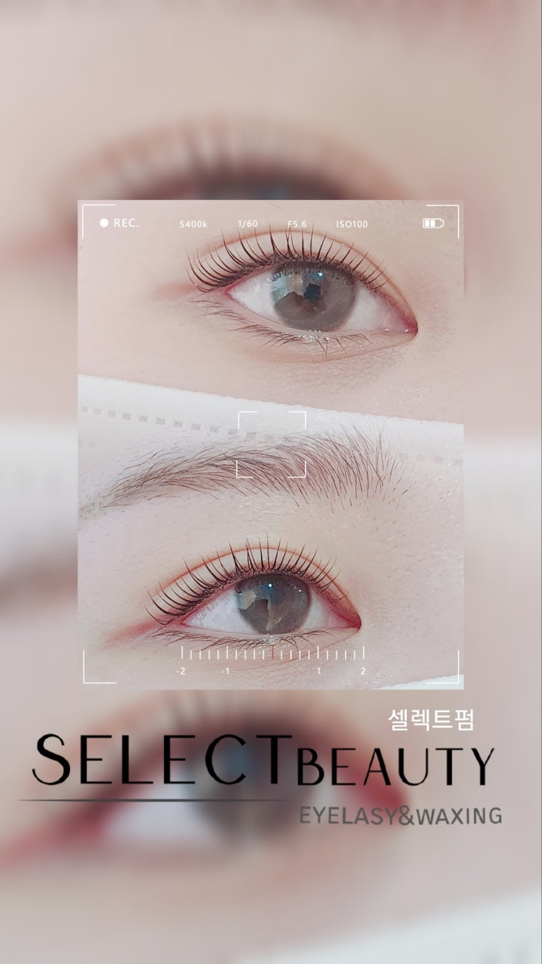 셀렉뷰티 이미지