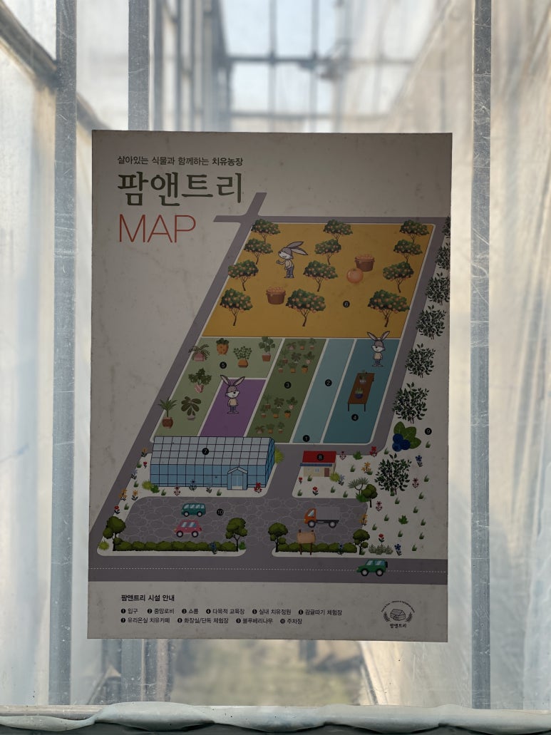 트리앤팜 이미지