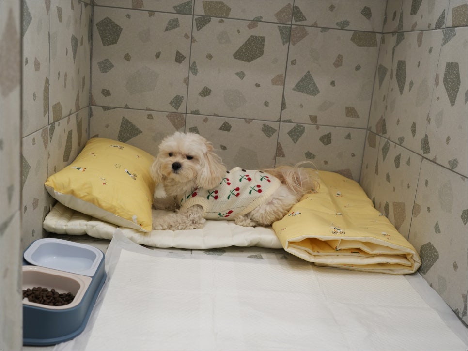 호텔맘 이미지