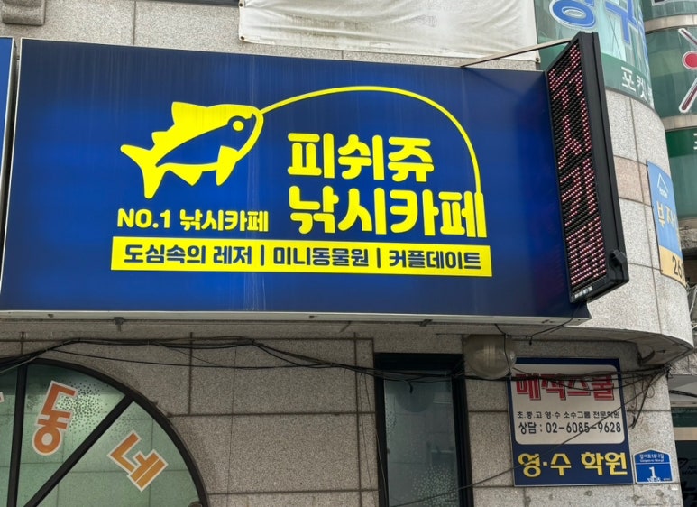 피쉬쥬낚시카페 이미지