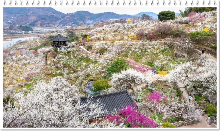 매화식당 이미지