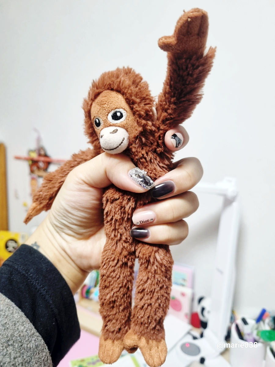 데이포네일 이미지