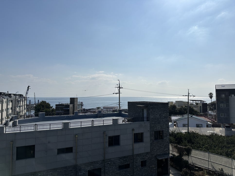 블란디야 이미지
