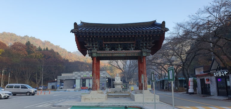 마이골발효식품 이미지