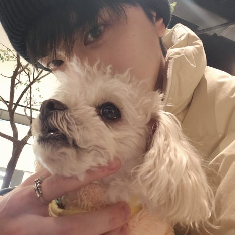 생활in 이미지